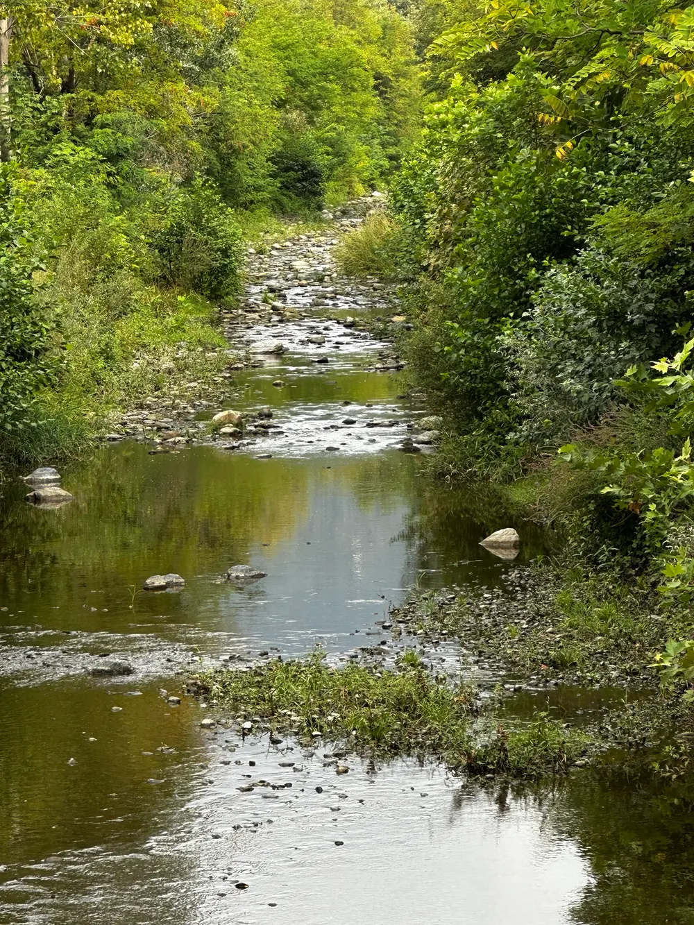 Paesaggio naturale attraversato da un corso d'acqua